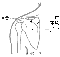 十二经脉 二、手阳明大肠经（共20穴）