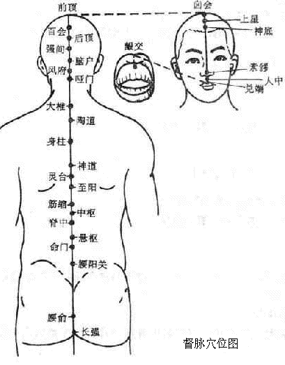 第三节 奇经八脉