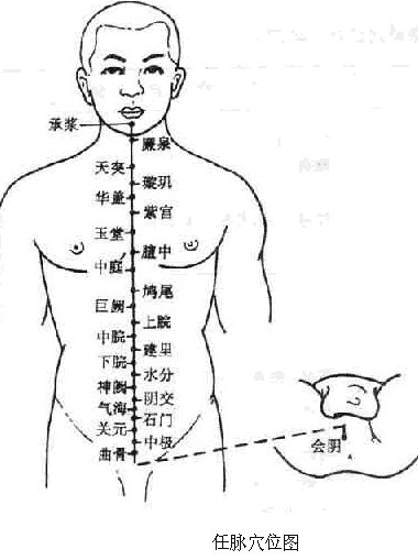 第三节 奇经八脉