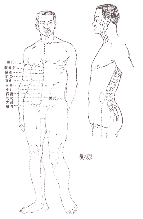 第三节 奇经八脉