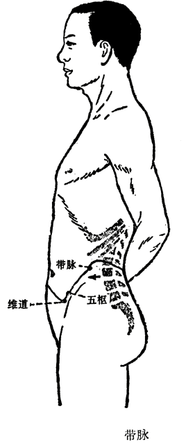 第三节 奇经八脉