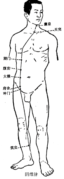 第三节 奇经八脉