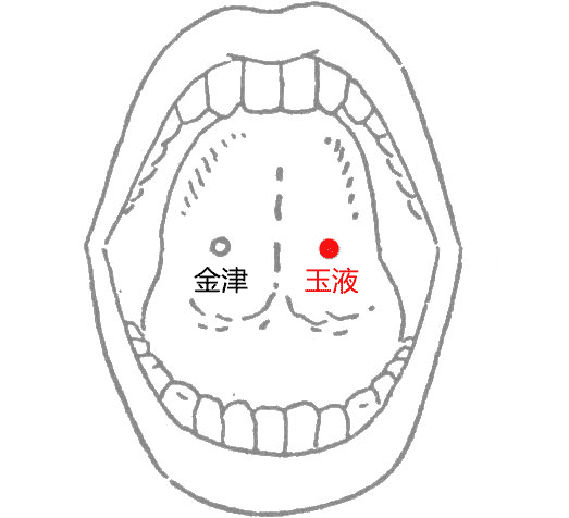 玉液穴