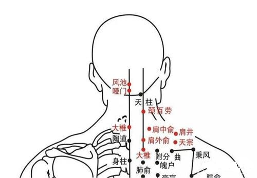 颈百劳穴