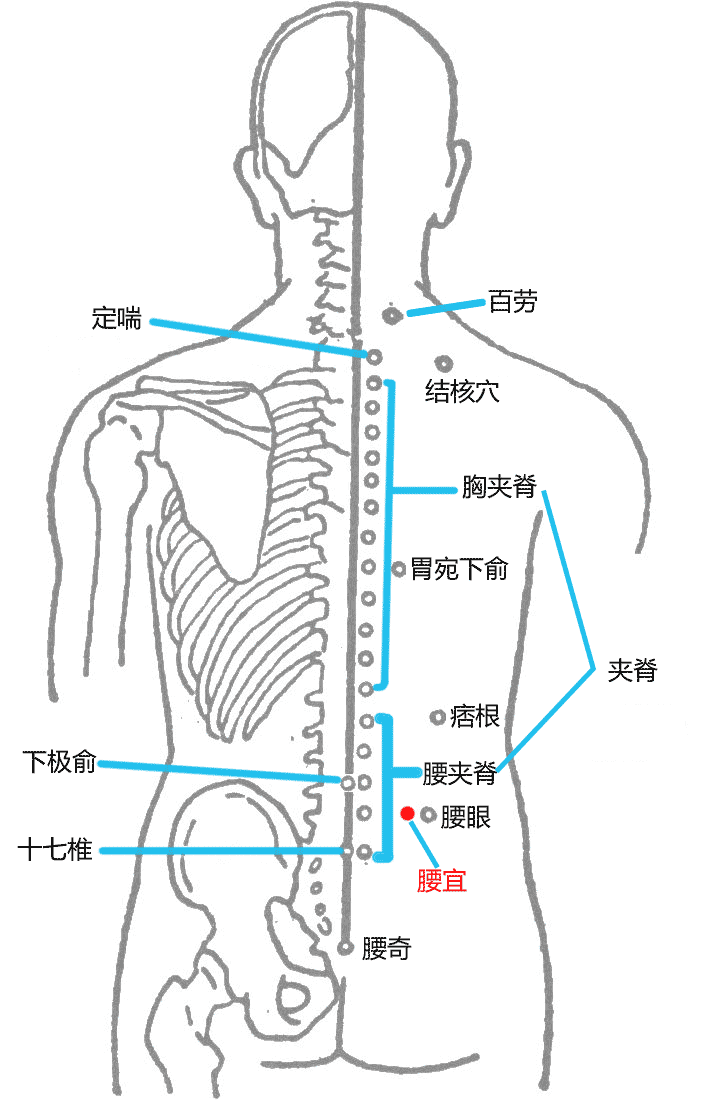 腰宜穴