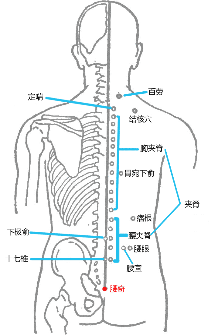 腰奇穴