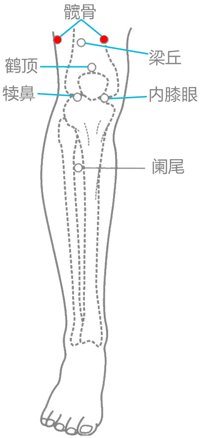 髋骨穴