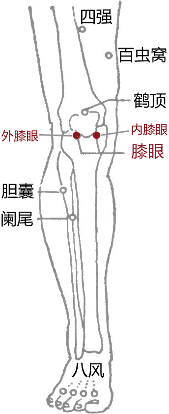 膝眼穴